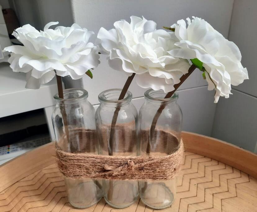 Apartmán La Palme De Retz Pornic Exteriér fotografie